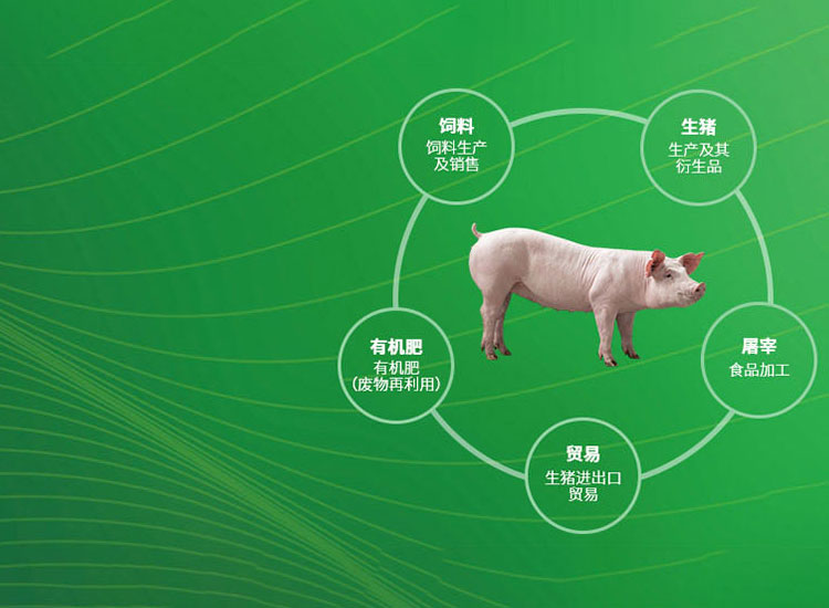 米兰体育的网页